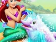 Ariel si delfinul