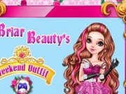 Briar Beauty Party